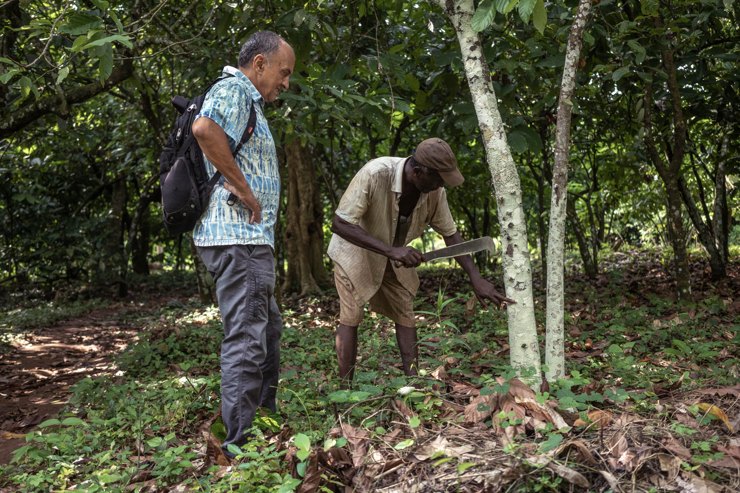 Cocoa farmers in Togo