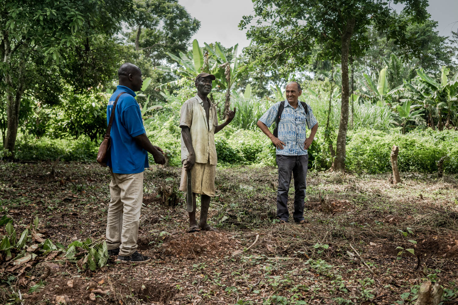 Cocoa farmers on the field