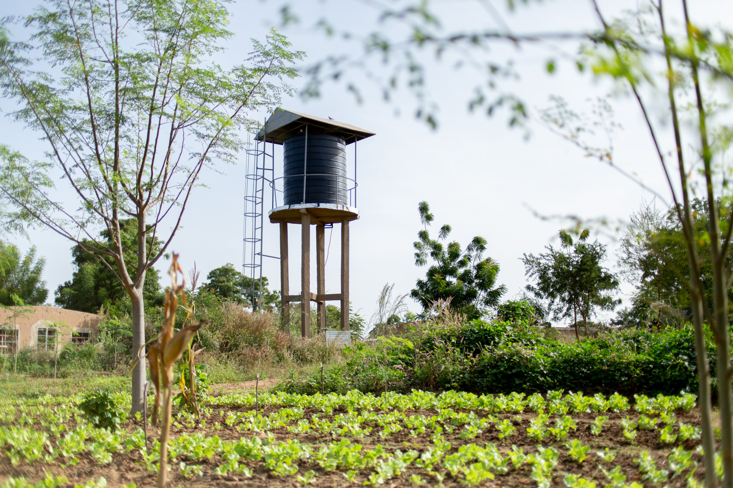 Water tank at Neo-Beere