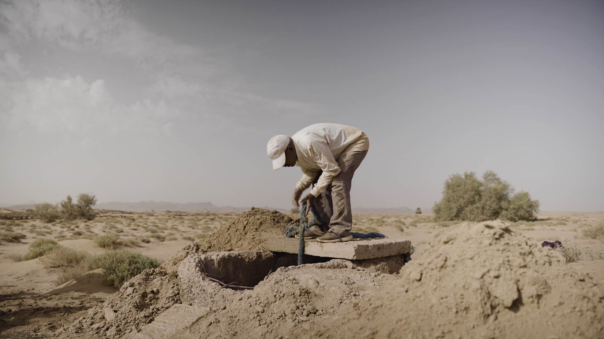 Reviving an oasis with ancient irrigation systems